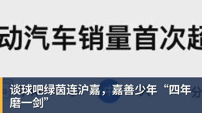谈球吧绿茵连沪嘉，嘉善少年“四年磨一剑”